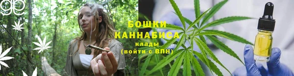 спиды Медногорск