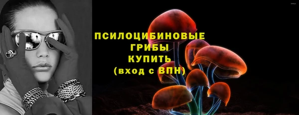 PSILOCYBIN Мегион