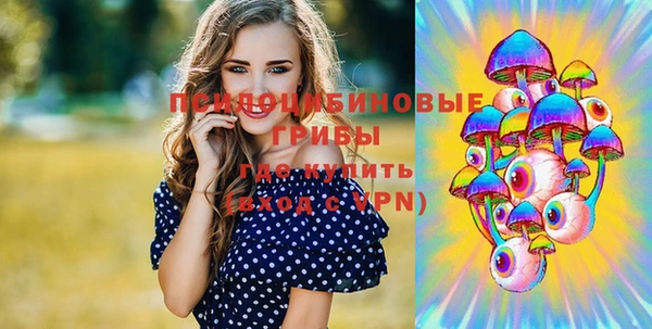 спиды Медногорск