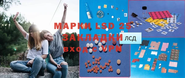 PSILOCYBIN Мегион