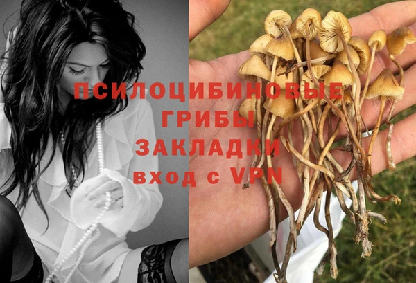 PSILOCYBIN Мегион