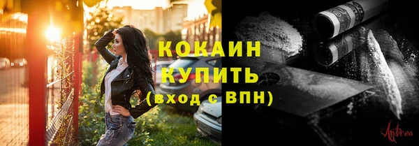 молекула духа Галич