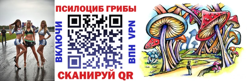 Галлюциногенные грибы мицелий  Купить закладки  Киреевск 
