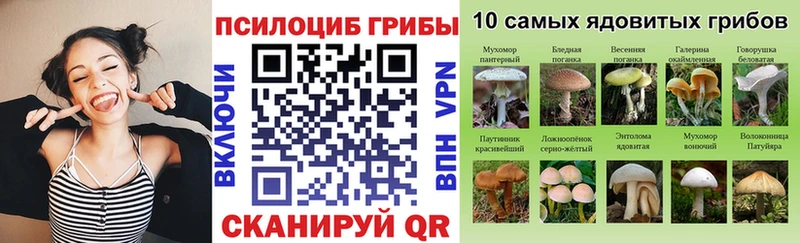 Галлюциногенные грибы Psilocybine cubensis Киреевск